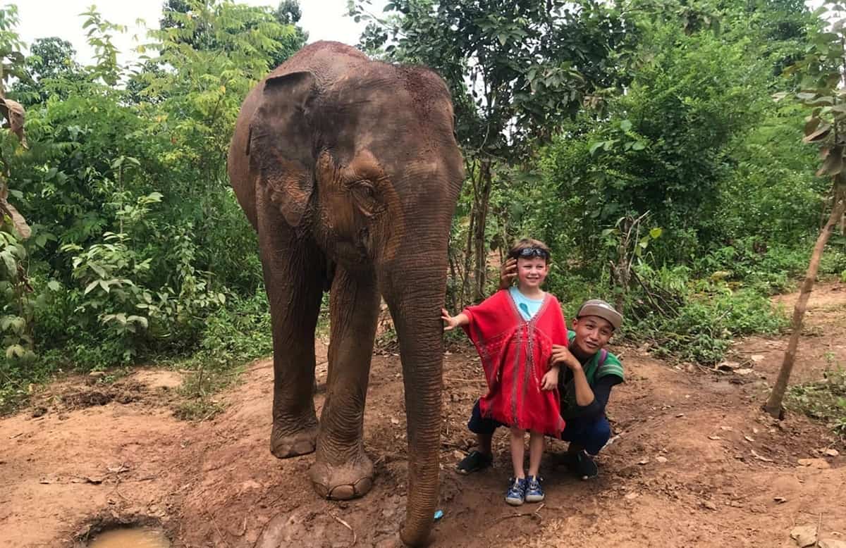 Elephant Freedom Project Chiang Mai Half-Day Morning Tour