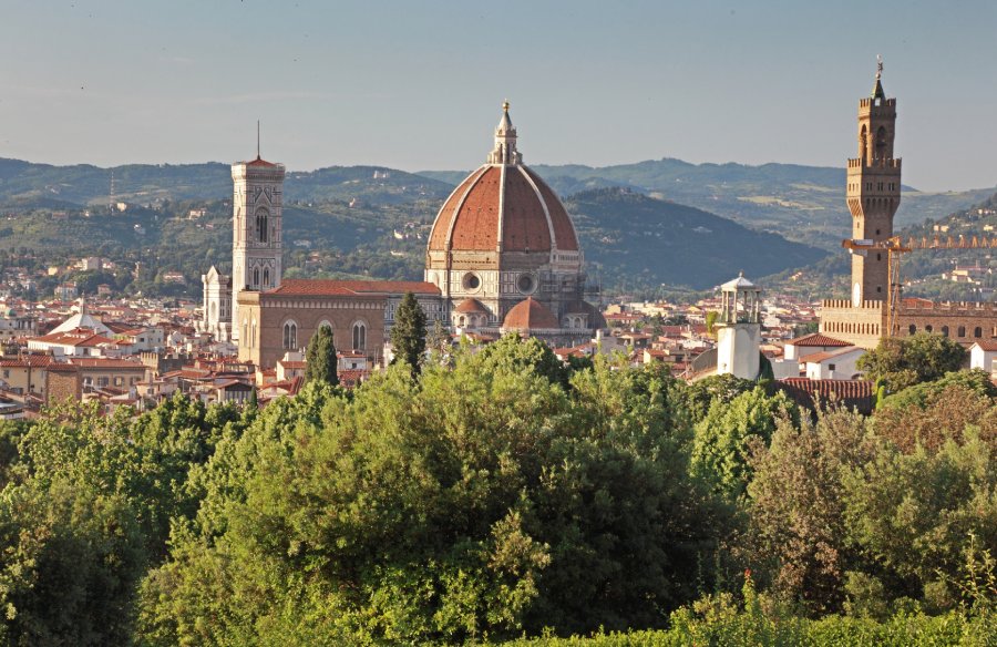 Best of Florence Tour: Florence