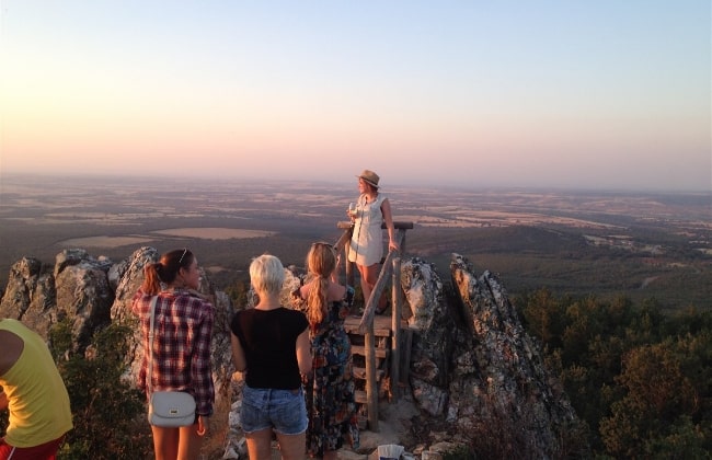 Guided Tour to Ribera del Duero Winery