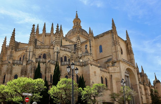 Guided Tour to Ribera del Duero Winery