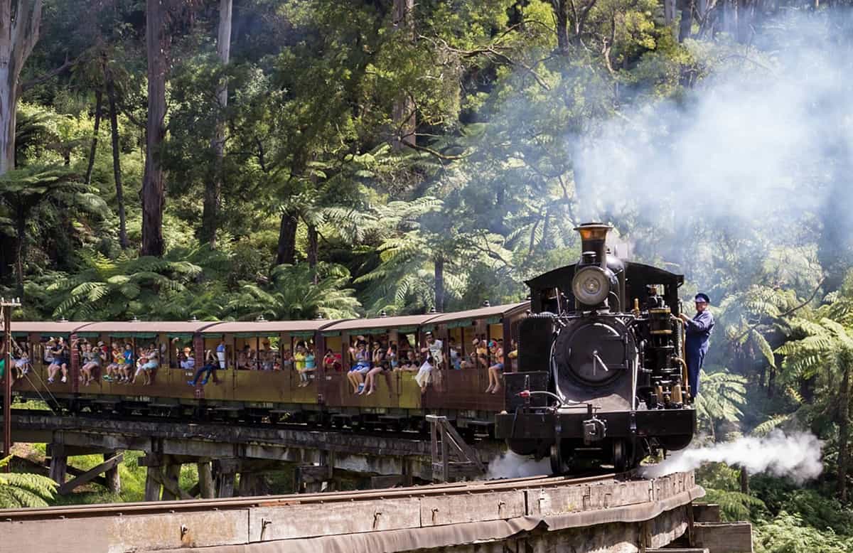 Puffing Billy & Wildlife Tour