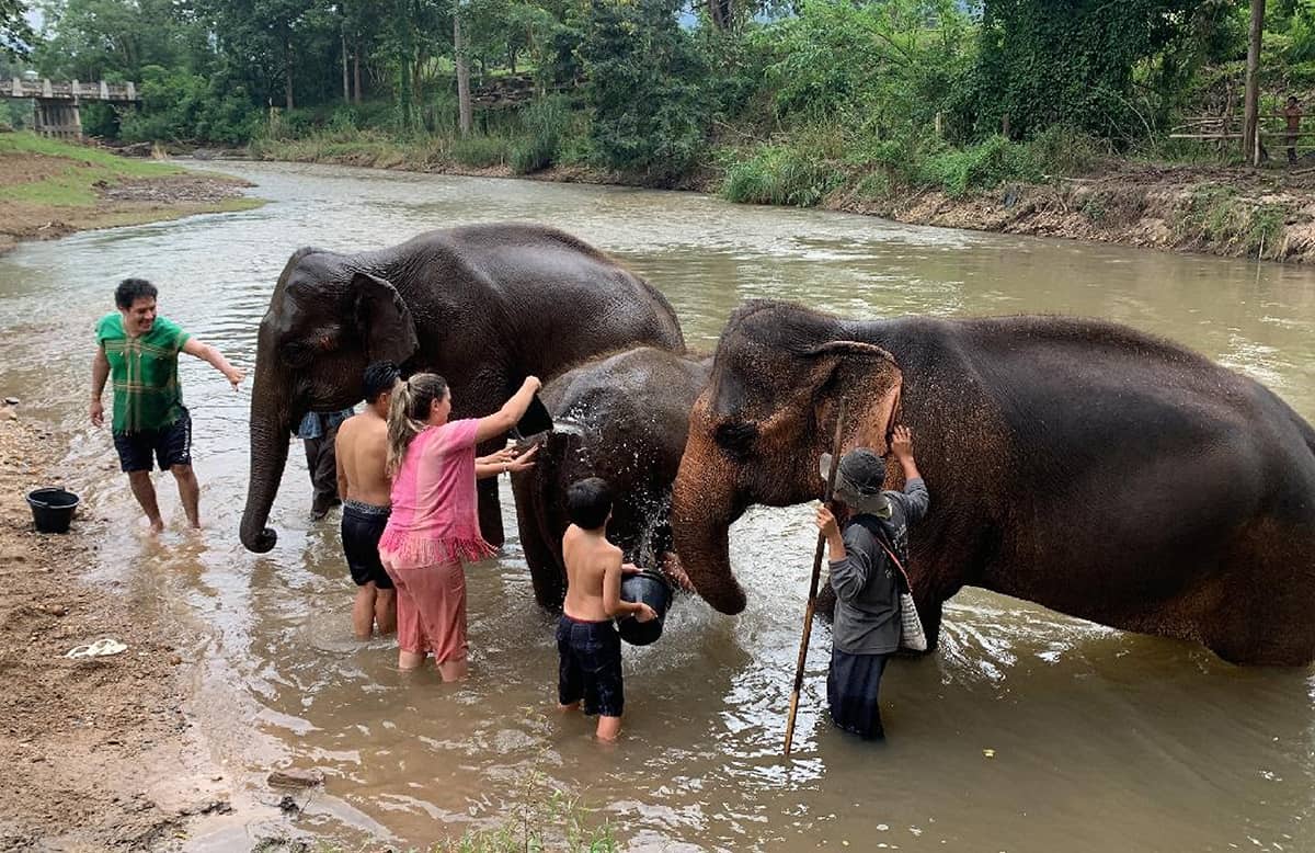 Elephant Freedom Project Chiang Mai Full-Day Elephant Tour