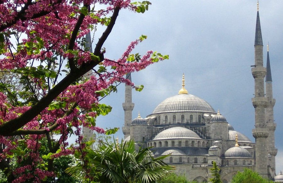 Best of Istanbul
