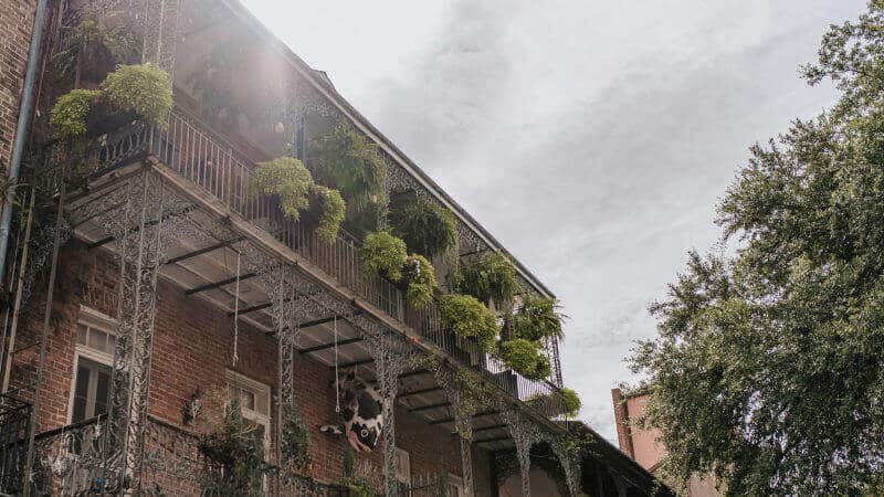 Secret Walking Tours: French Quarter