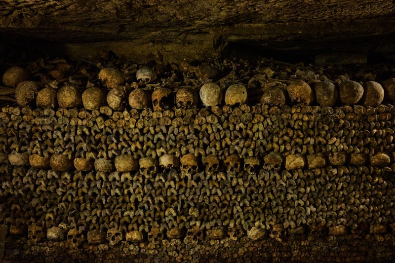 online paris catacombs tour